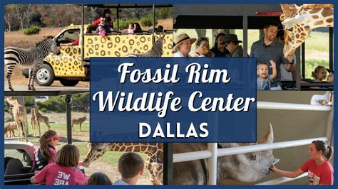 fossil rim military discount.